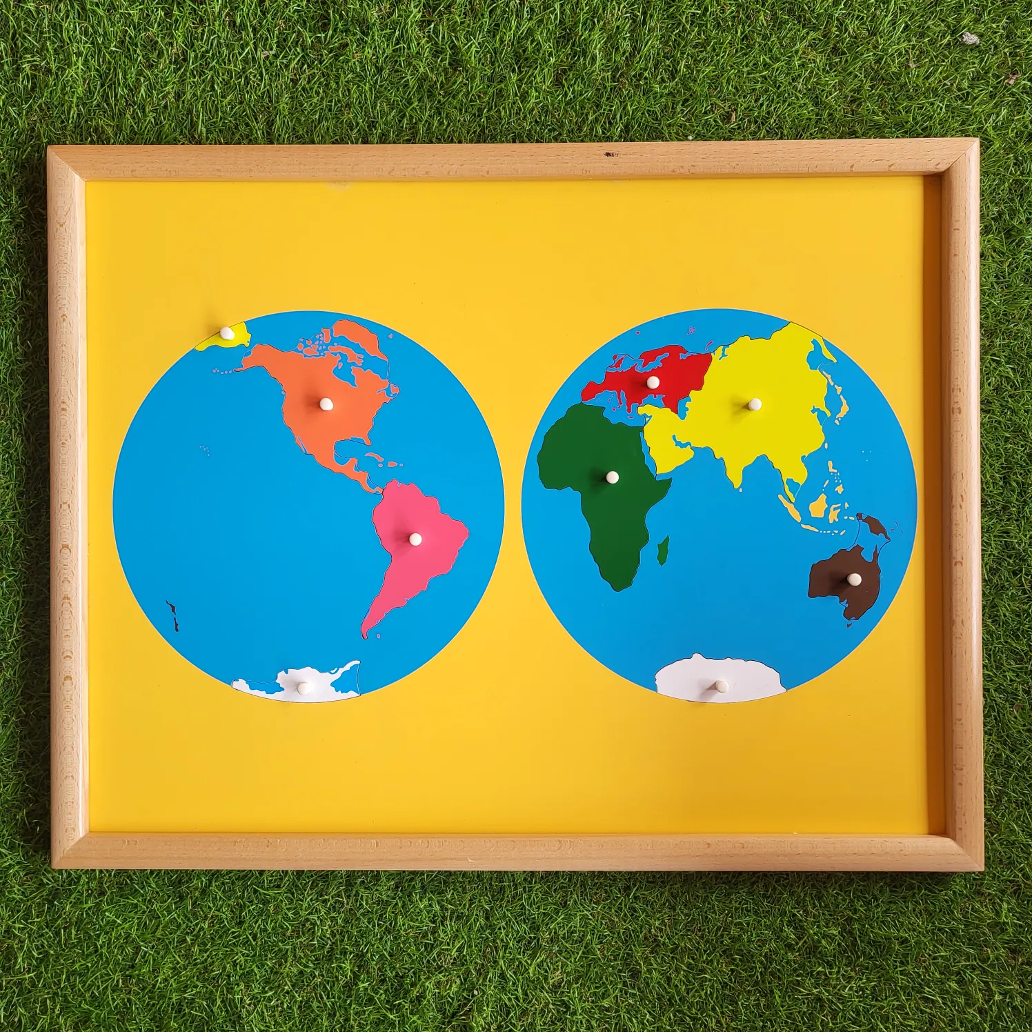 Puzzle Map of the World